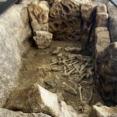 "Plus belle la mort : enquêtes sur les rites funéraires de la Préhistoire" exposition à découvrir sur le Grand Site de France de l'Aven d'Orgnac