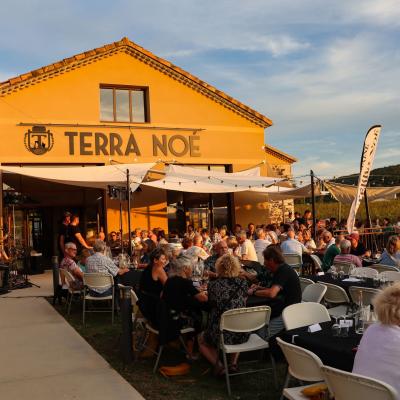 Concert Switch au domaine Terra Noé