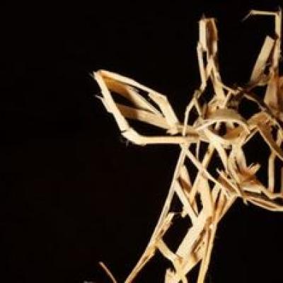 Exposition : Animaux