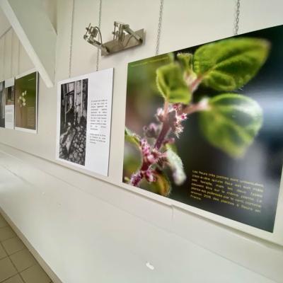 Exposition : Un autre regard sur la nature