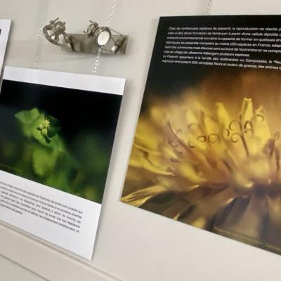 Exposition : Un autre regard sur la nature