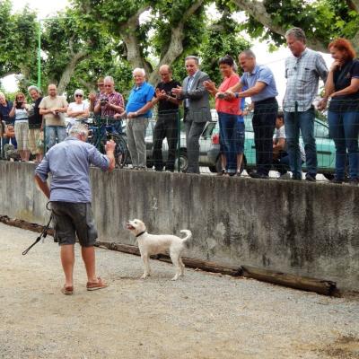 Fête de la truffe d’été