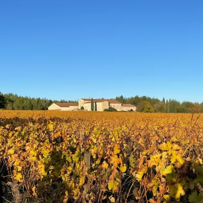 La Table du Vigneron en Scène au domaine de Bournet