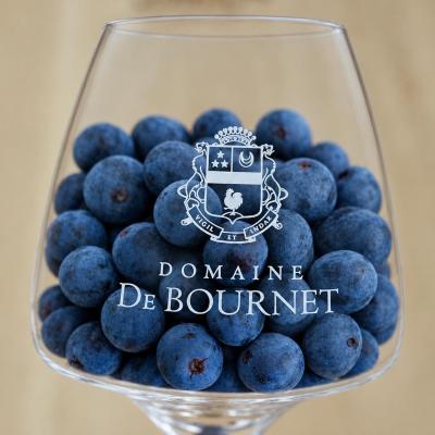 La Table du Vigneron en Scène au domaine de Bournet