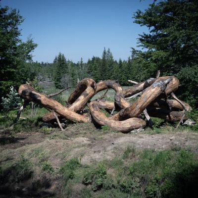 Table ronde " De Chauvet au Partage des Eaux, 36 000 ans de création artistique"