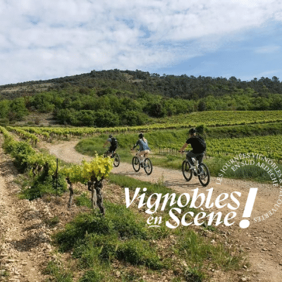 VelOeno Castagnade au Domaine Walbaum