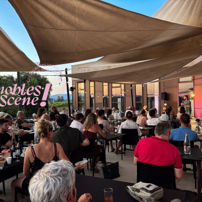 Vitamine Impro Show au domaine Terra Noé