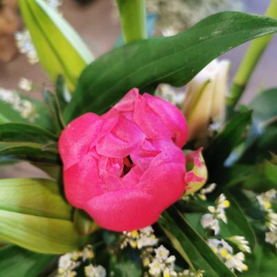 Atelier Orélie, cosmétiques Melvita et compositions florales