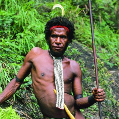 Exposition Temporaire : Bijoux, cailloux, Papous... Des préhistoriens en Nouvelle-Guinée