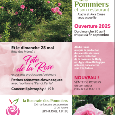 Fête de la rose