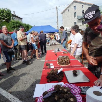 Fête de la truffe d’été
