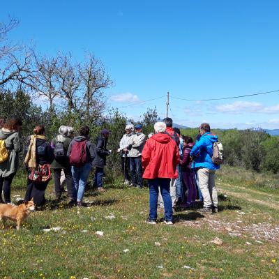 Le professeur Jones et les Aventuriers des dolmens perdus