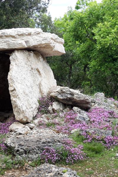 Aven d'Orgnac - Les conférences de la Cité  - Les dolmens, une pratique funéraire de la fin du Néolithique