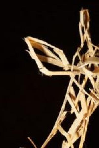 Exposition : Animaux