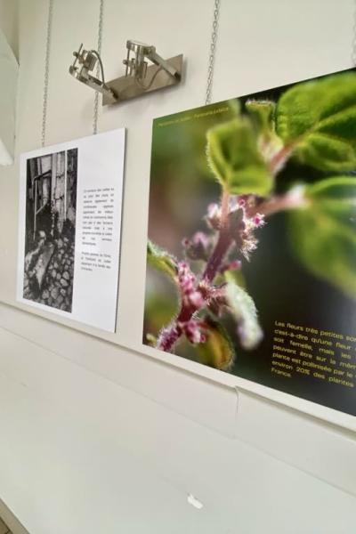 Exposition : Un autre regard sur la nature