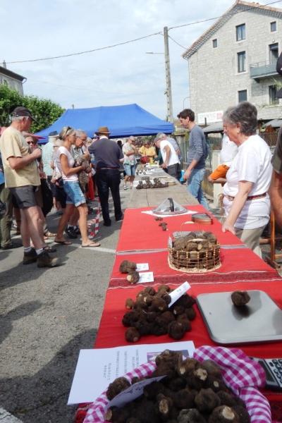 Fête de la truffe d’été