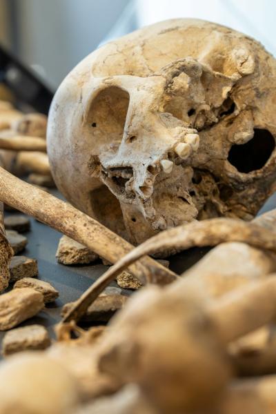 Table ronde à l'Aven d'Orgnac :  Regard(s) sur la mort de la Préhistoire à aujourd'hui