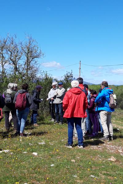 Le professeur Jones et les Aventuriers des dolmens perdus