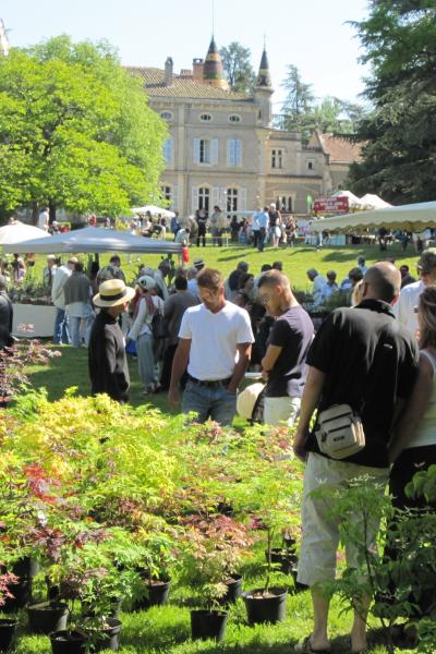 Plantes et Fleurs en Fête