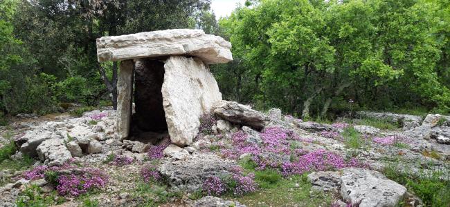 Aven d'Orgnac - Les conférences de la Cité  - Les dolmens, une pratique funéraire de la fin du Néolithique