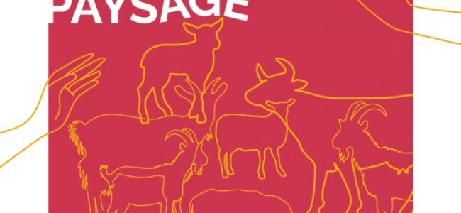 Stage de théâtre documentaire par la Cie La Ligne