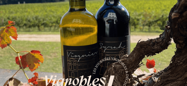 VelOeno Castagnade au Domaine Walbaum